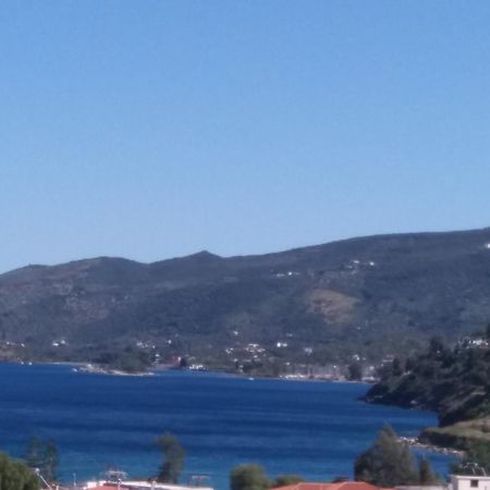 Forest & Sea Apartment Poros Town Esterno foto