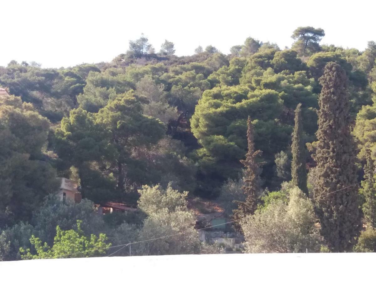 Forest & Sea Apartment Poros Town Esterno foto
