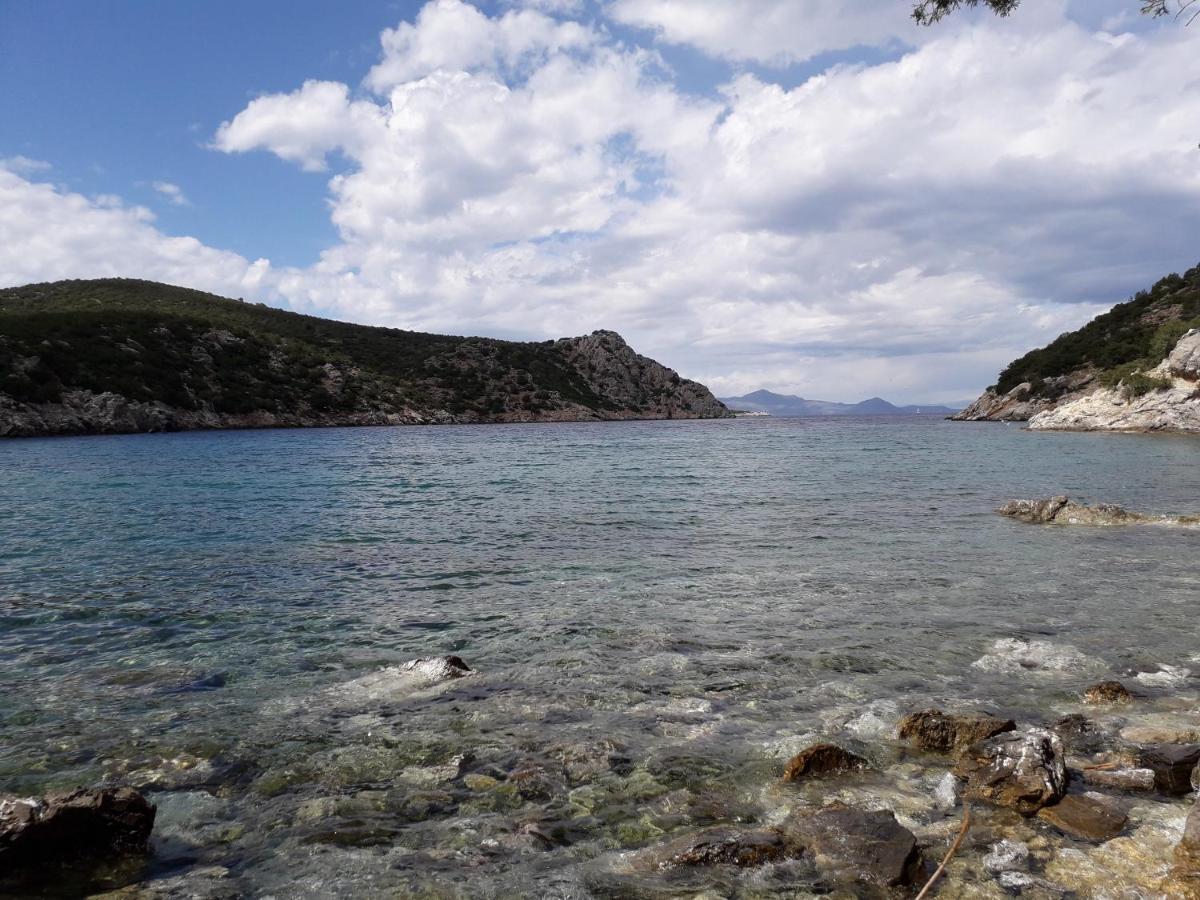 Forest & Sea Apartment Poros Town Esterno foto